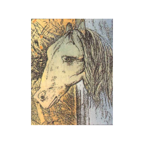 A drawing of a horse's head is shown